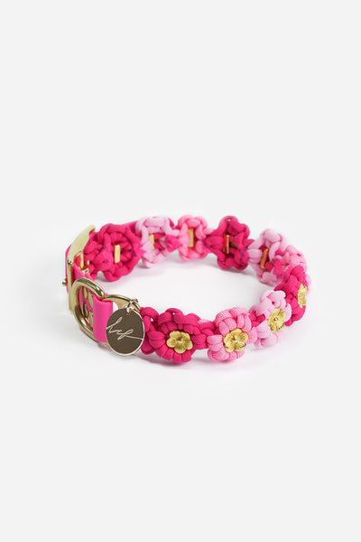 Collier chien Laika rose - S