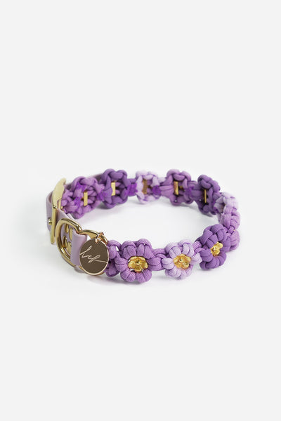 Collier chien Laika violet - S