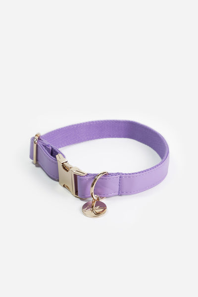 Collier chien Naya violet - S